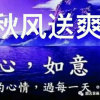 秋风“”的头像