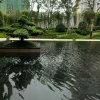 景美的头像