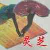 万里执着学医的头像
