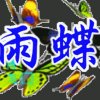 雨蝶的头像