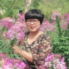 黄小卫的头像