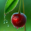 এ᭄雨如歌ོꦿృ༊的头像