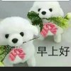 微伊涵的头像