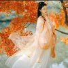 星雨的头像