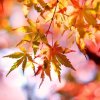 时光再见的头像
