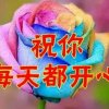 平平安安的头像