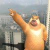 情歌王子的头像