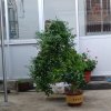 随心的头像