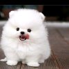 自娱自乐的头像