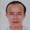 丛中一点绿的头像