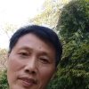 蓝色星辰的头像