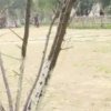 无聊的头像