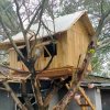 一生为你守候的头像