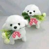 无情的头像