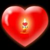 心灯的头像