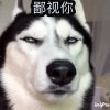 殷勤的头像