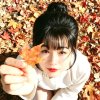 沙漠里的一颗绿草的头像