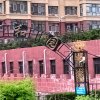 光明的头像