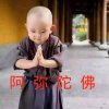 军哥的头像