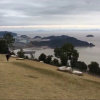 九月．的头像
