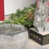 蓝居星的头像