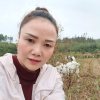 放下的头像