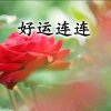 AK有你真好的头像