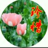 活到老学到老的头像