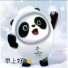阿坚的头像