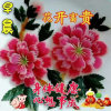 媛开心快乐的头像