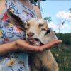 Weirdo丶兜儿的头像