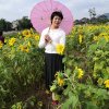 开心每一天的头像