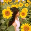 向日葵的头像