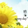 晴天的头像