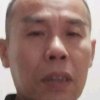 八重樱下的头像