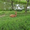 晓静的头像