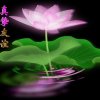 老玩童的头像