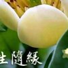 黄晓珍的头像