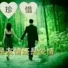 丽的头像