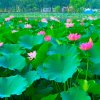 阿莲 拒w※的头像