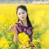 紫玫瑰らRose°的头像