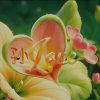 ※萍♛水※相逢※的头像