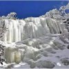雨加雪的头像