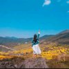 天涯《拒币》的头像