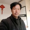 牛气冲天的头像