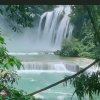 Am飓风的头像