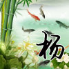 竹子的头像