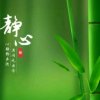 梦想成真的头像