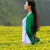 果果的头像