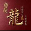 辉哥（暂停）的头像